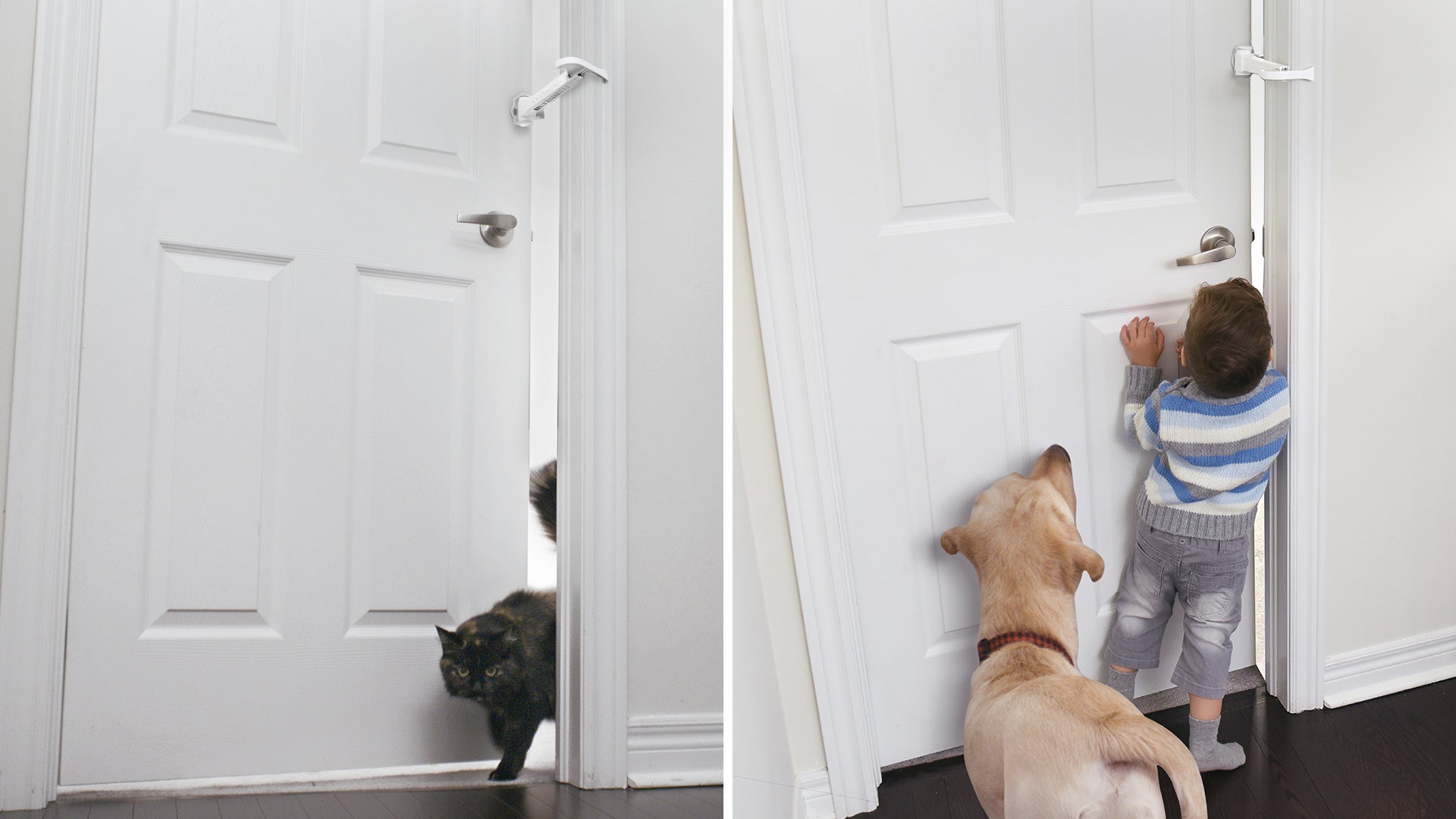 Charger la vidéo : DOORWING portable door lock and door stopper door guard for child proofing and pet proofing doors